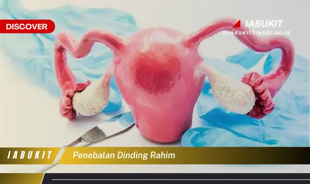 penebalan dinding rahim