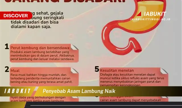 penyebab asam lambung naik