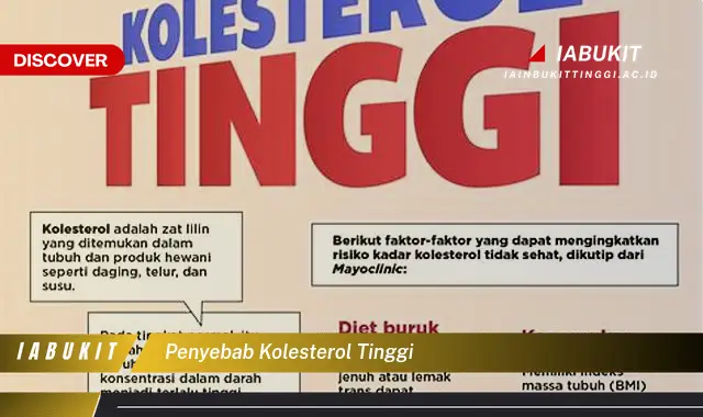 penyebab kolesterol tinggi
