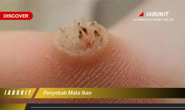 penyebab mata ikan