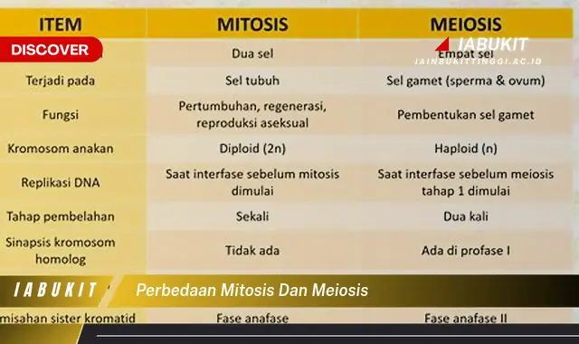 perbedaan mitosis dan meiosis