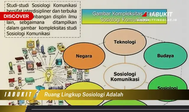 ruang lingkup sosiologi adalah