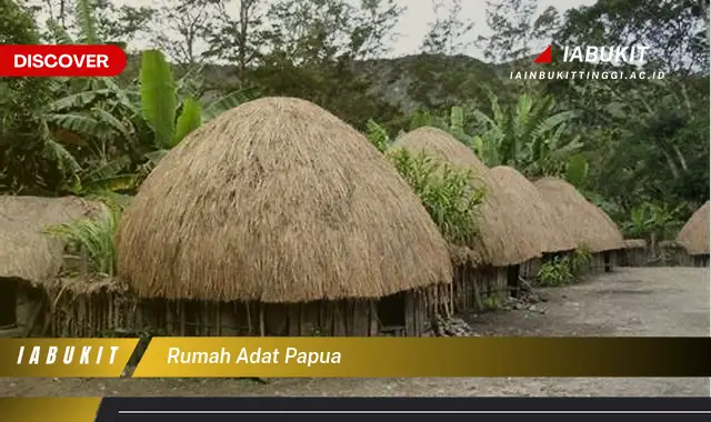 rumah adat papua