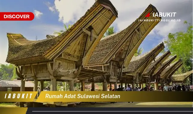 rumah adat sulawesi selatan