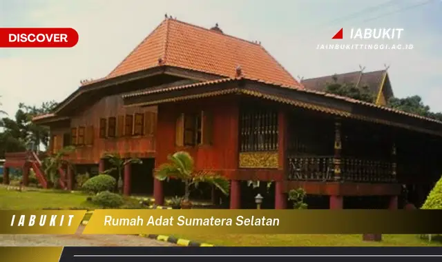 rumah adat sumatera selatan