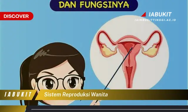sistem reproduksi wanita sistem reproduksi wanita