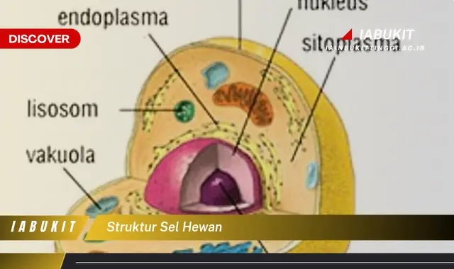 Intip Struktur Sel Hewan yang Wajib Kamu Ketahui