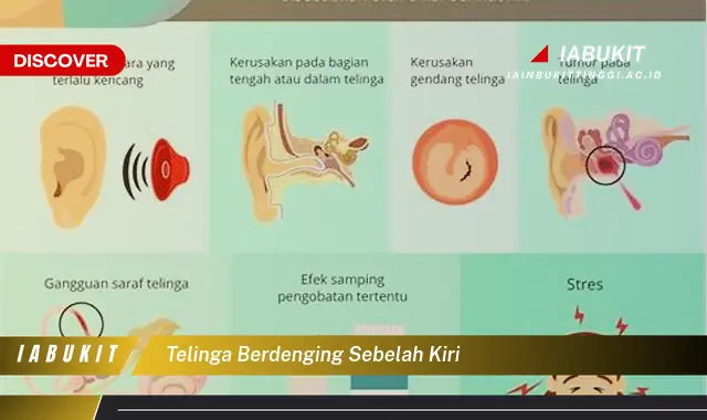 telinga berdenging sebelah kiri