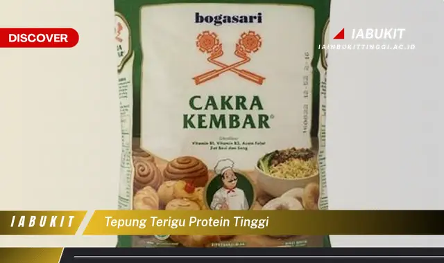 tepung terigu protein tinggi