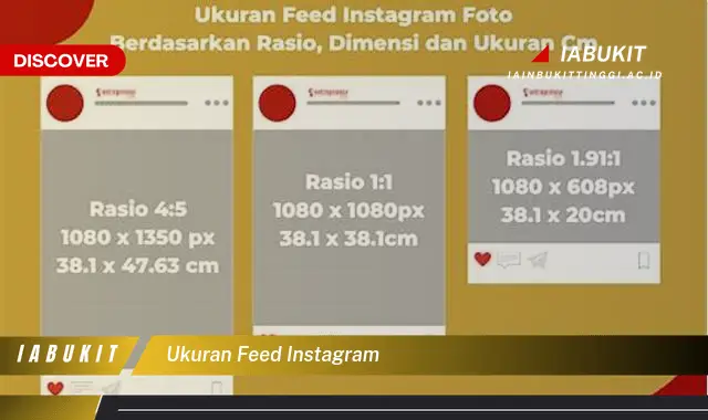 ukuran feed instagram