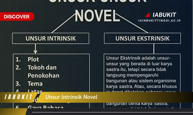 unsur intrinsik novel