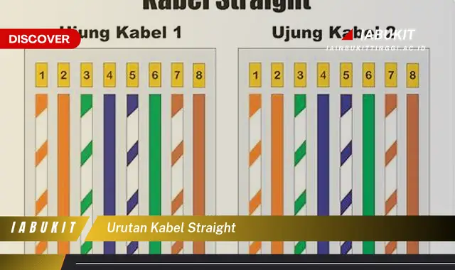 urutan kabel straight