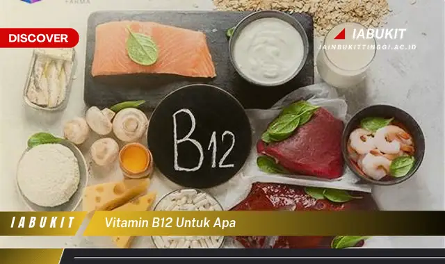 vitamin b12 untuk apa