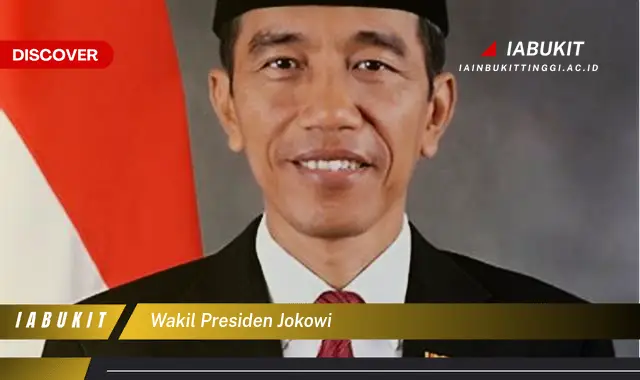 wakil presiden jokowi