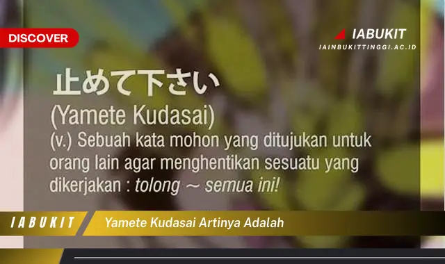 yamete kudasai artinya adalah