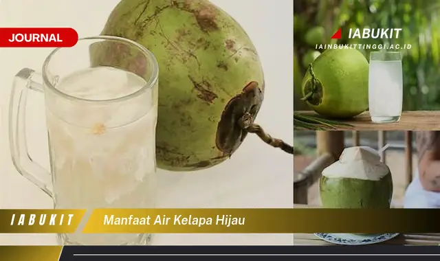 manfaat air kelapa hijau