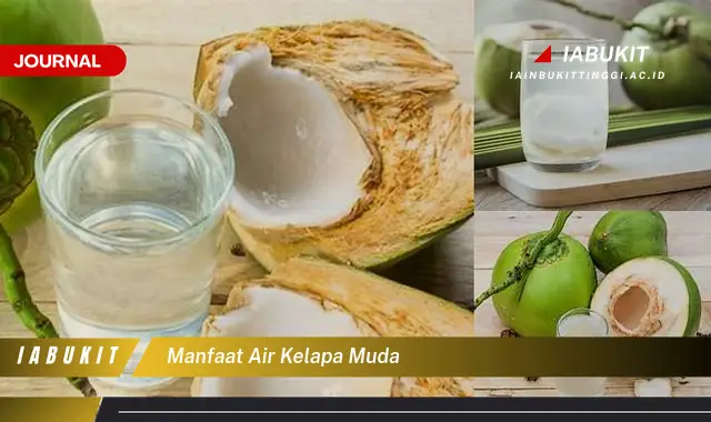 manfaat air kelapa muda