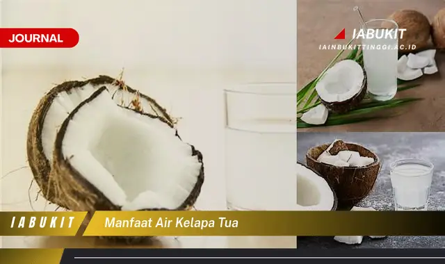 manfaat air kelapa tua manfaat air kelapa tua