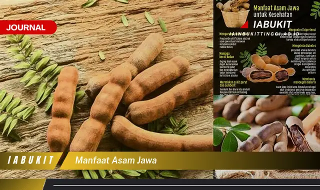 manfaat asam jawa