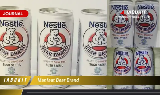 manfaat bear brand