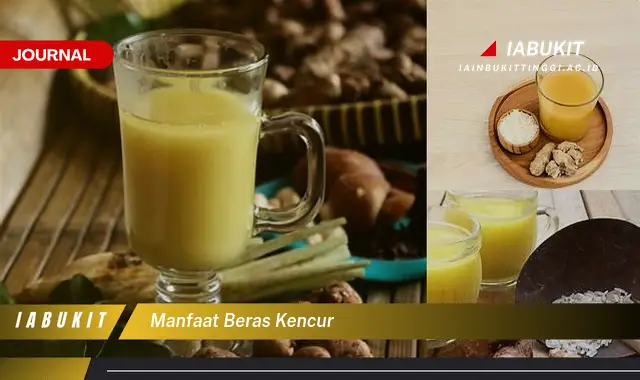 manfaat beras kencur manfaat beras kencur