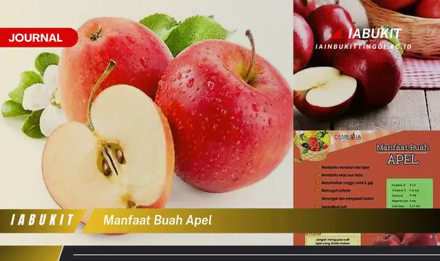 manfaat buah apel
