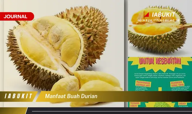 manfaat buah durian