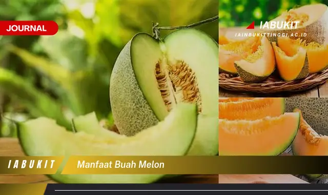 manfaat buah melon