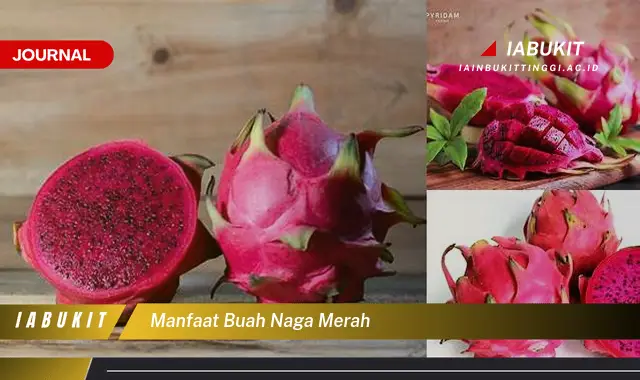 manfaat buah naga merah