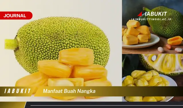 manfaat buah nangka