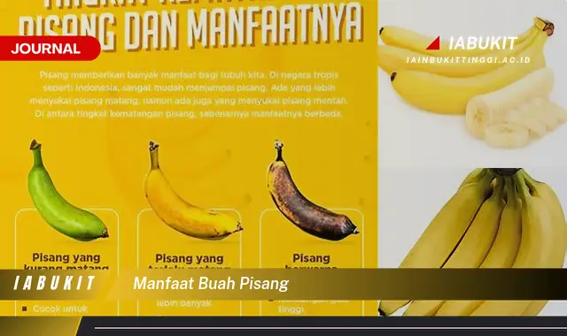 manfaat buah pisang