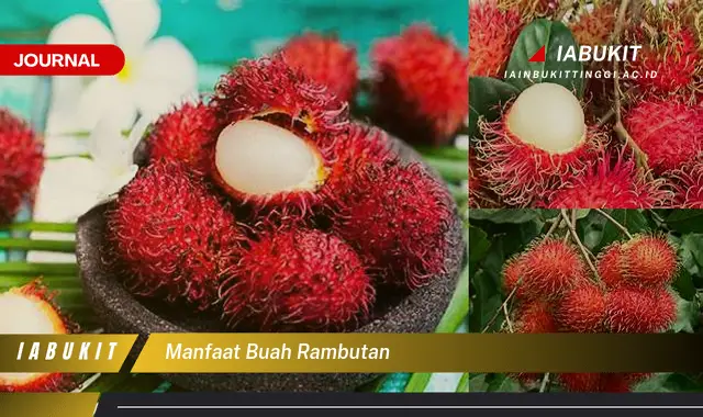 manfaat buah rambutan manfaat buah rambutan