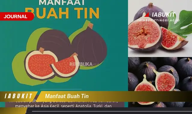 manfaat buah tin