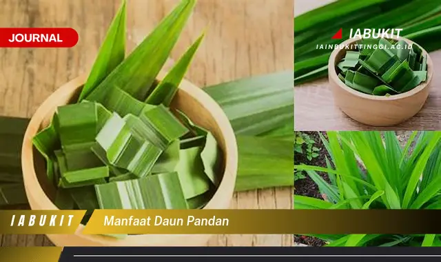 manfaat daun pandan