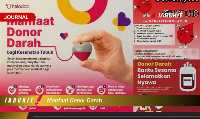 manfaat donor darah