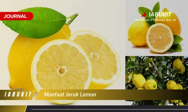 manfaat jeruk lemon