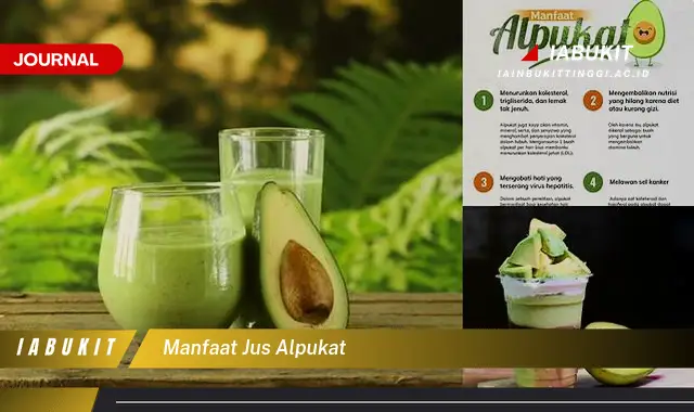 manfaat jus alpukat