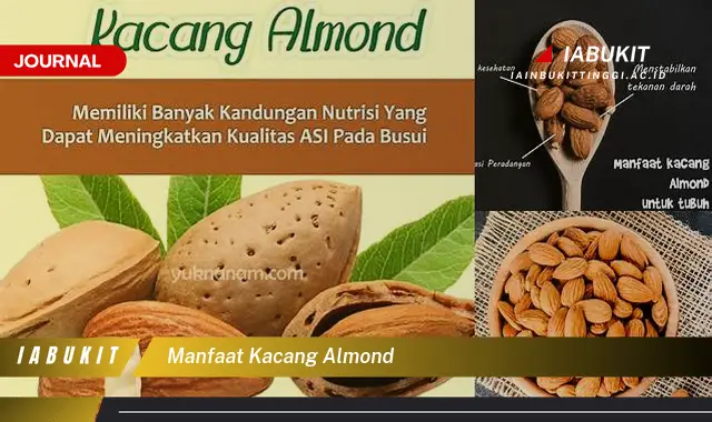 manfaat kacang almond