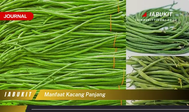 manfaat kacang panjang