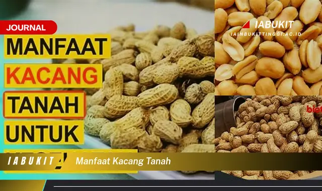 manfaat kacang tanah