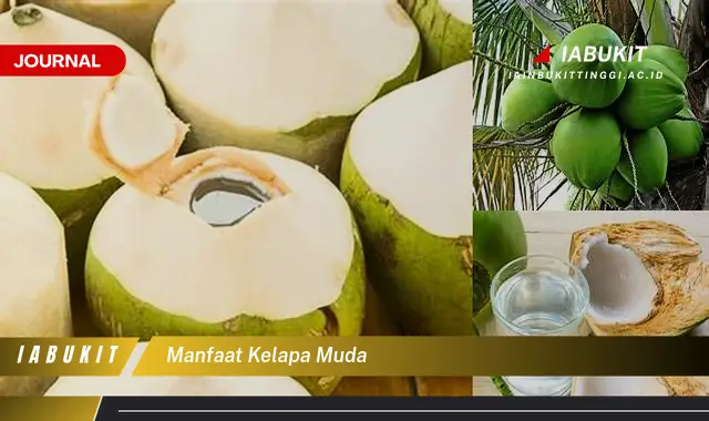 manfaat kelapa muda