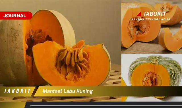 manfaat labu kuning