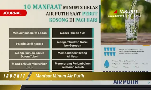 manfaat minum air putih