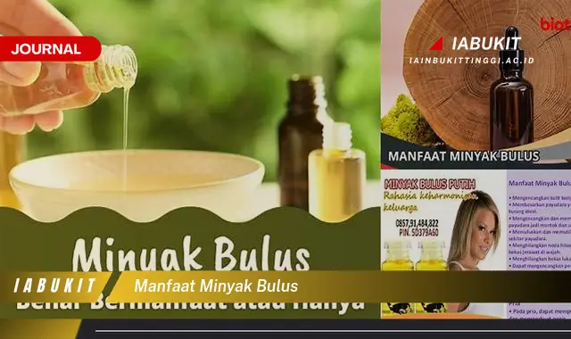 manfaat minyak bulus manfaat minyak bulus