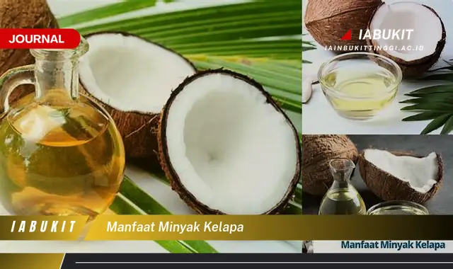 manfaat minyak kelapa