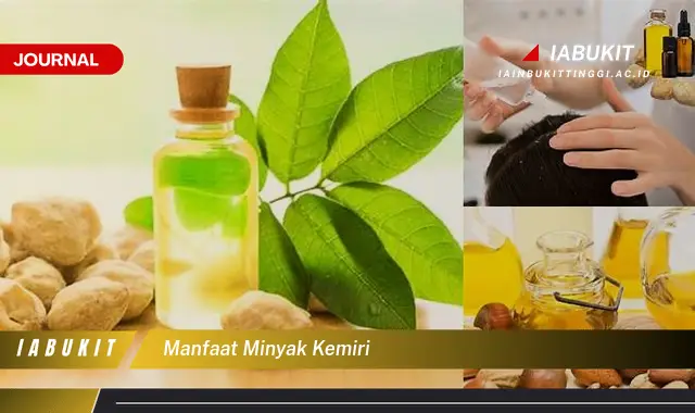 manfaat minyak kemiri manfaat minyak kemiri