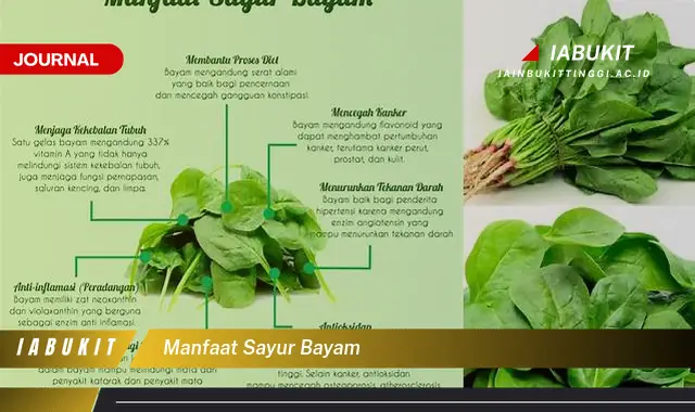 manfaat sayur bayam