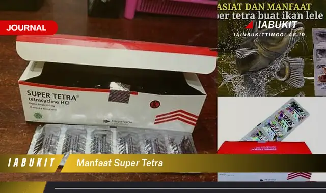 manfaat super tetra manfaat super tetra