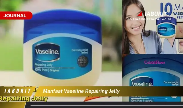 manfaat vaseline repairing jelly