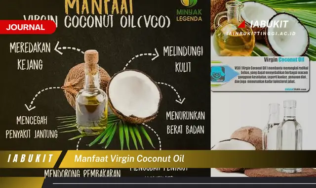 manfaat virgin coconut oil manfaat virgin coconut oil